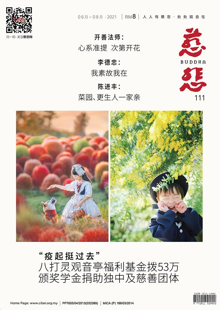 《慈悲》111期